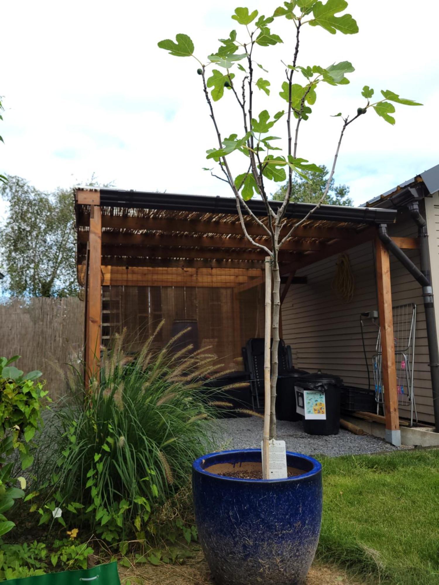 Rustig Gelegen Chalet Kapeki Met Tuin Aan Het Water เกล ภายนอก รูปภาพ