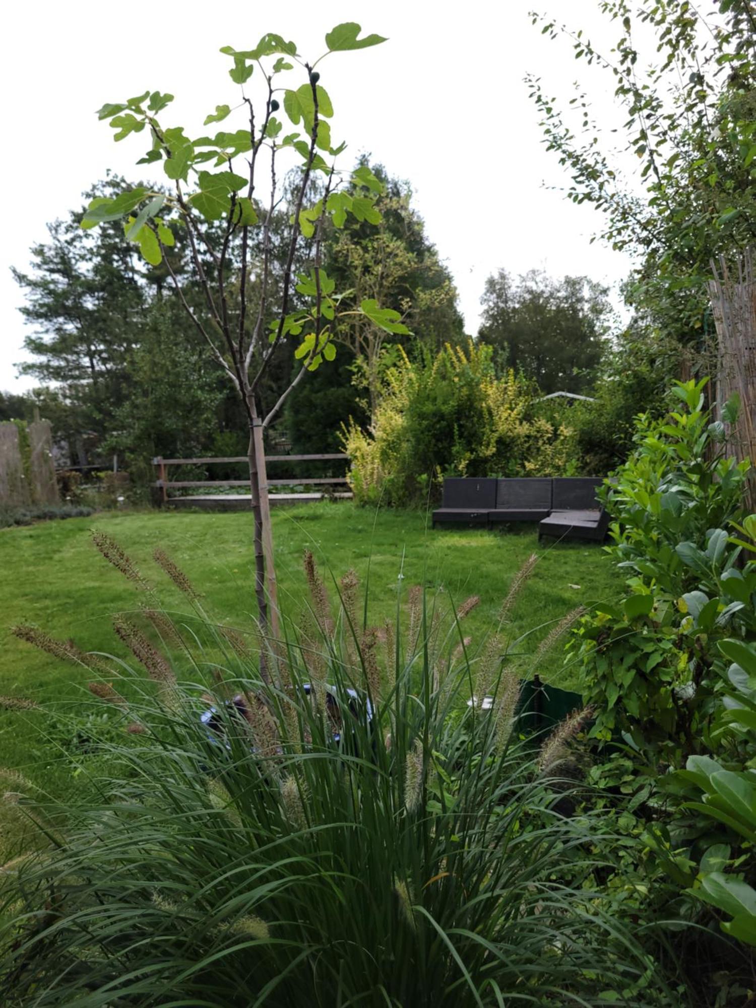 Rustig Gelegen Chalet Kapeki Met Tuin Aan Het Water เกล ภายนอก รูปภาพ